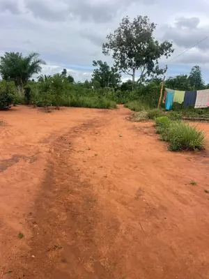 Vente d'un terrain à Akodesséwa, demi-lot en angle de rue, bord du nouveau goudron – 50 millions FCFA à revoir (bail possible) — photo 4