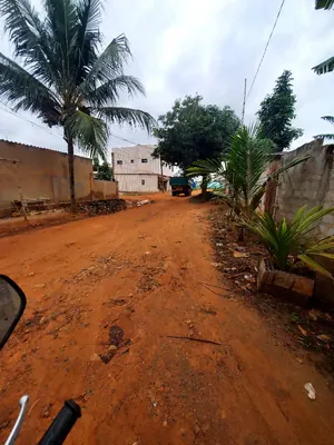 Vente d'un terrain à Sagbado Balissimé, demi-lot de 300 m² – 9 500 000 FCFA — photo 1
