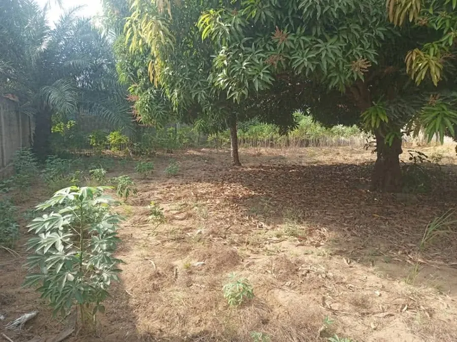 Terrain 1 lot de 600 m² en vente à Togokomé, angle de rue – 40 millions FCFA