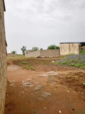 Terrain 340 m² en vente à Légbassito Kognito – 7,5 millions FCFA — photo 6