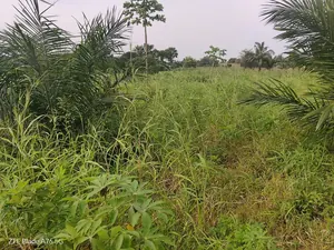 Terrain demi-lot en vente à Atoukpancopé route d'Aveta – 3,5 millions FCFA — photo 1