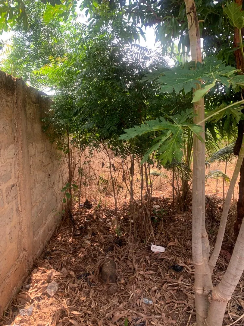 Terrain demi-lot 300 m² en vente à Ségbé Zanvi – 9,5 millions FCFA